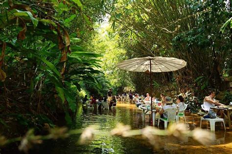 Top 10 restaurants in Khao Lak | Top 10 restaurants, Cozy restaurant ...