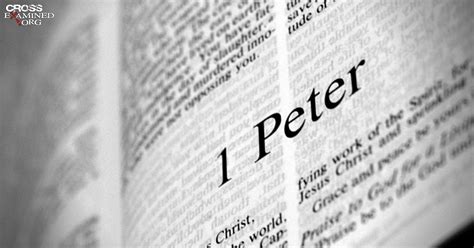 Who Wrote the Letters of Peter? | CrossExamined.org