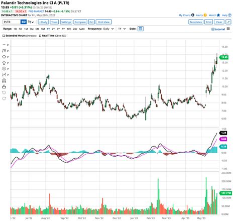 How High Can Palantir Stock Rise?