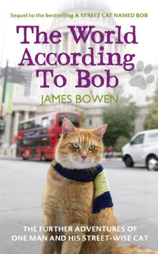 Bob The Cat Book Series