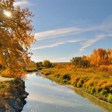 Where to Go for Fall Colors in Montana | Recommended By Montanans