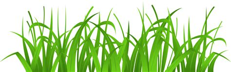 Grass Cover PNG Clip Art - Best WEB Clipart