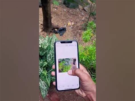 iPhone 11 pro camera test 📷 - YouTube