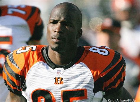 Marvin Lewis sent Ochocinco funny text message after skateboarding ...