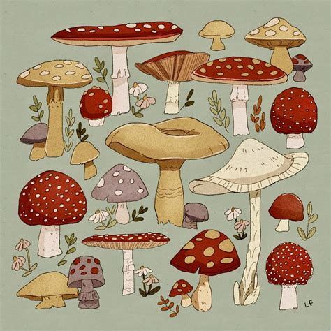 Just A Repost | Mushroom drawing, Mushroom art, Mushroom drawings