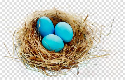 nest with eggs clipart 10 free Cliparts | Download images on Clipground 2023