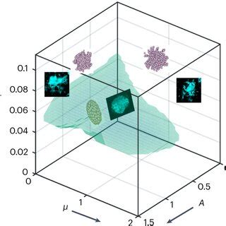 Matrix viscoelasticity promotes EMT and tumour growth a, Examples of... | Download Scientific ...