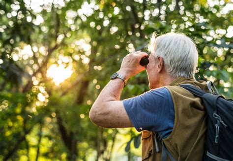 Bird Watching For Beginners: 11 Tips to Get Started - Optics Mag