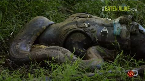 Paul Rosolie fails to get Eaten Alive by an anaconda on Discovery channel special - Irish Mirror ...