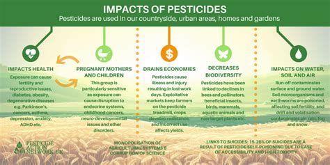 The many impacts of pesticides - Pesticide Action Network UK