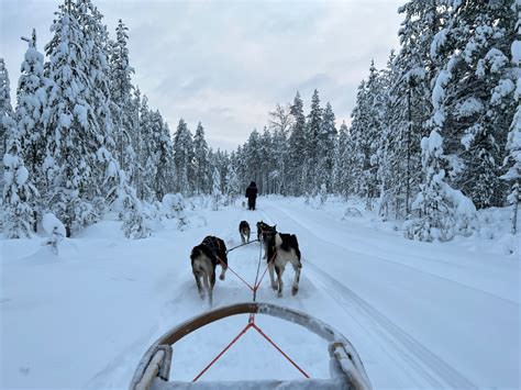 This is winter in Finland. An Arctic Family Adventure. - I am Lost and ...