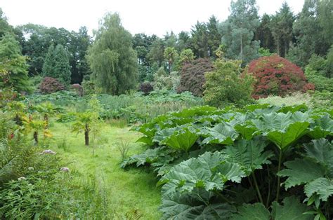 Penrhyn Castle Garden