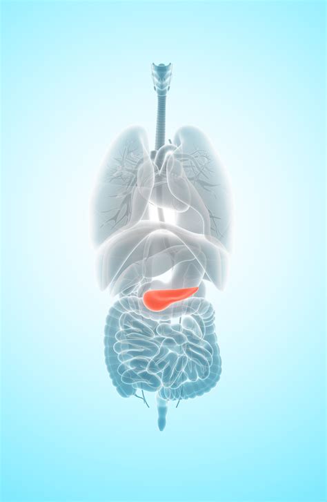 Blood Clots in Abdomen May Be Sign of Cancer