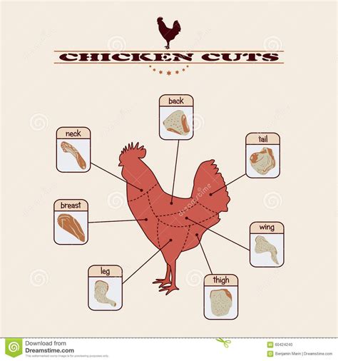 A simple chart about chicken cuts. | Chicken, Diagram design, Illustration