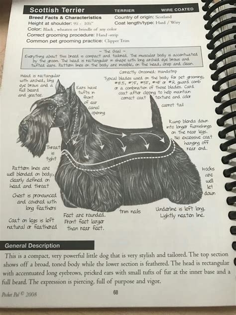 Scottish Terrier Grooming Diagram