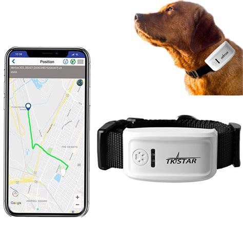 ZEERKEER Pet GPS Tracker Dog GPS Tracker and Pet Finder Waterproof ...