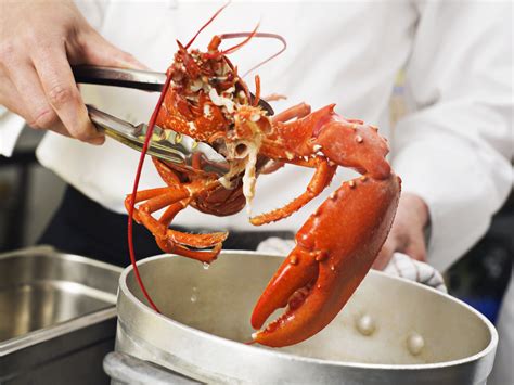 Switzerland Outlaws Boiling Live Lobsters in Revamped Animal Protection ...