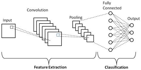 Convolutional Neural Networks – The Neural Network