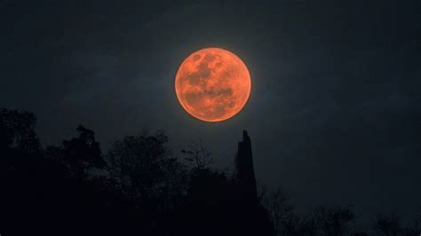 Super Blood Moon 2021: How to photograph tonight's 'Flower Blood Moon ...