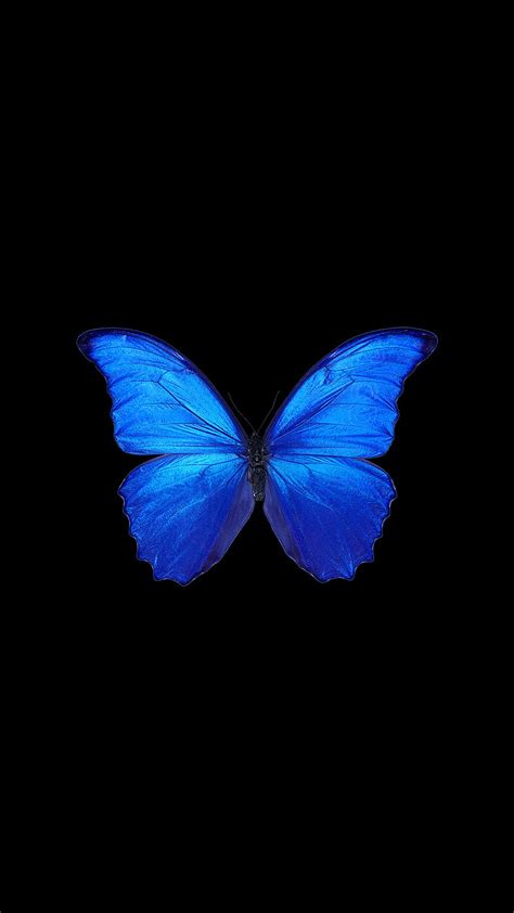 Blue And Black Butterfly Wallpaper