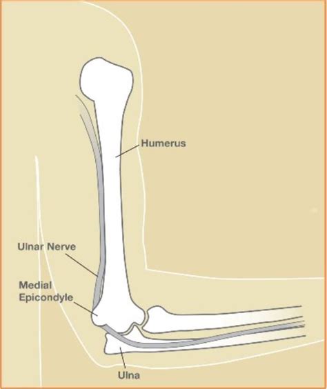 What Is the Funny Bone? | The Hand Society