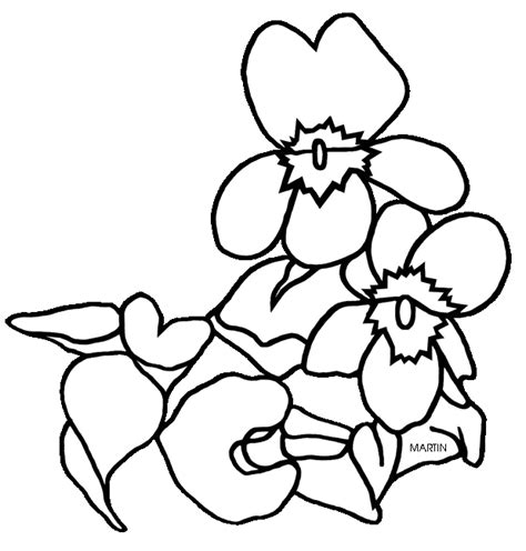 Violet Flower Drawing at GetDrawings | Free download