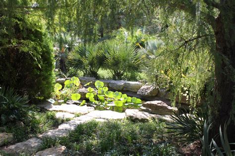 Zilker Botanical Gardens hike - Austin Sierra Club Outings (Austin, TX ...