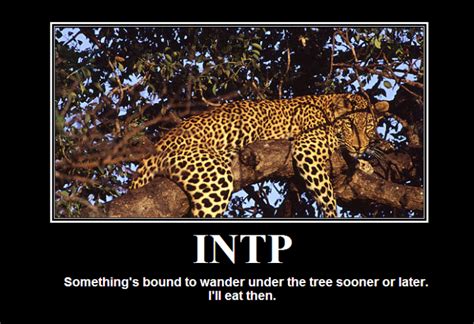 INTP Humor | Intp, Intp personality, Intp personality type