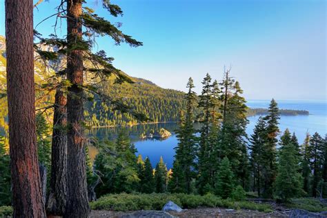 The Best National Forests in Northern California