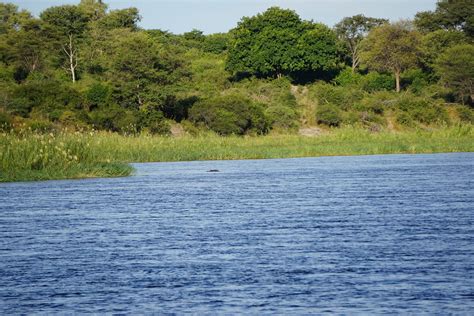 Okavango River - Namibia side :: Behance