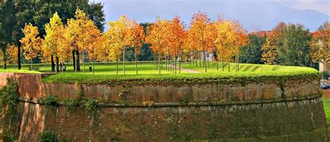 City wall Lucca, history and curiosities.