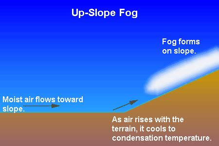 The Different Types Of Fog – WeatherTogether