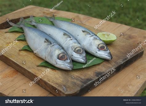 Mackerel Fish One Many Types Fish Stock Photo 2266199417 | Shutterstock