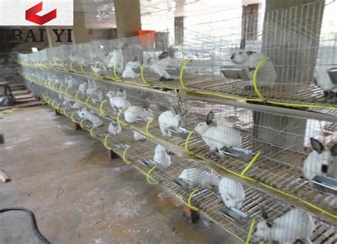 Wire Mesh Rabbit Cages For Rabbit Farm at Best Price in Hengshui | Anping County Baiyi Metal ...