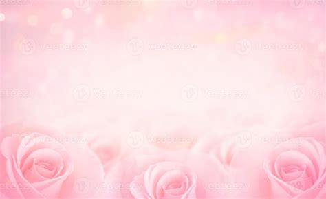 Pink Rose flowers with blurred sofe pastel color background for love wedding and valentines day ...