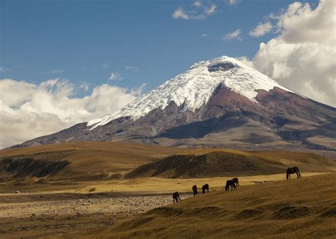 Cotopaxi National Park, Ecuador | Audley Travel US