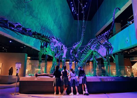 10 secret museums you never knew existed in Singapore | Honeycombers