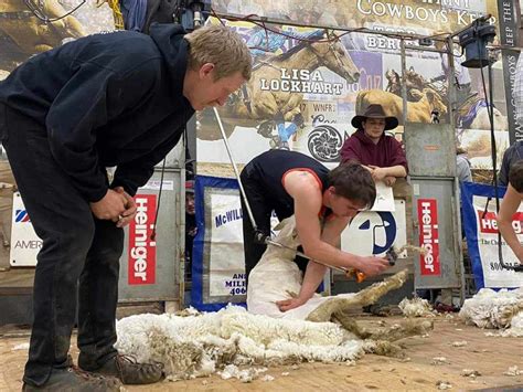 2024 National Sheep Shearing Championships Coming to the Black Hills ...