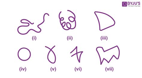 4 Types Of Curved Lines - Design Talk