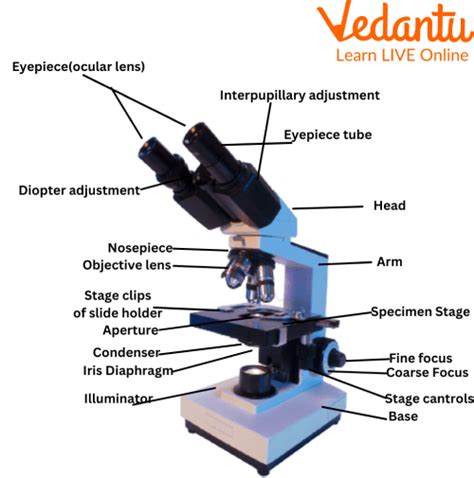 Microscope and Their Uses - Learn Important Terms and Concepts