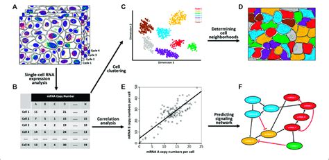 | Biological applications of the spatial transcriptomics technologies ...