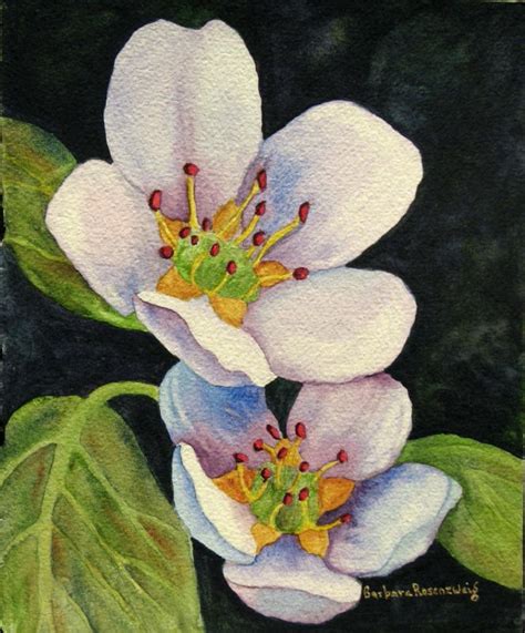 Artist Barbara Rosenzweig's Blog: Art, Gardening, Photography, and Ramblings: APPLE BLOSSOMS ...