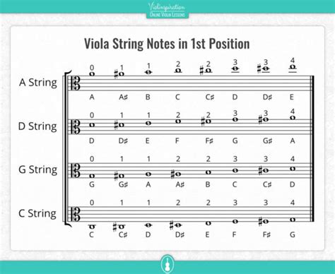 Viola String Notes and Fingering Charts | Viola Basics - Violinspiration