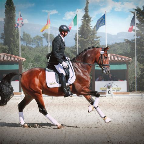 Concours de Dressage - Les Arcs sur Argens