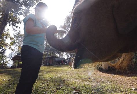 20 Friendliest Animals In The World - Planet’s Heartwarming Creatures