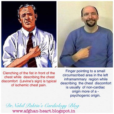 Dr.Nabil Paktin's Cardiology Blog مجله کاردیولوژی دکتور نبــیل پاکطـین : Types of chest pain ...