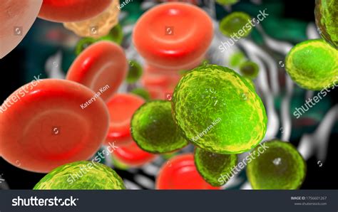 825 Candida Microscope Images, Stock Photos & Vectors | Shutterstock