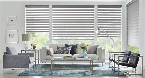 Dual Shades Are Modern & Functional | Blinds for windows living rooms, Blinds for windows ...
