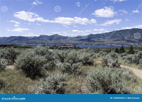 Sonoran Desert Landscape 28 Stock Image - Image of center, landscape: 120039533