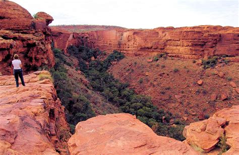 Flora of Watarrka National Park – Ausemade